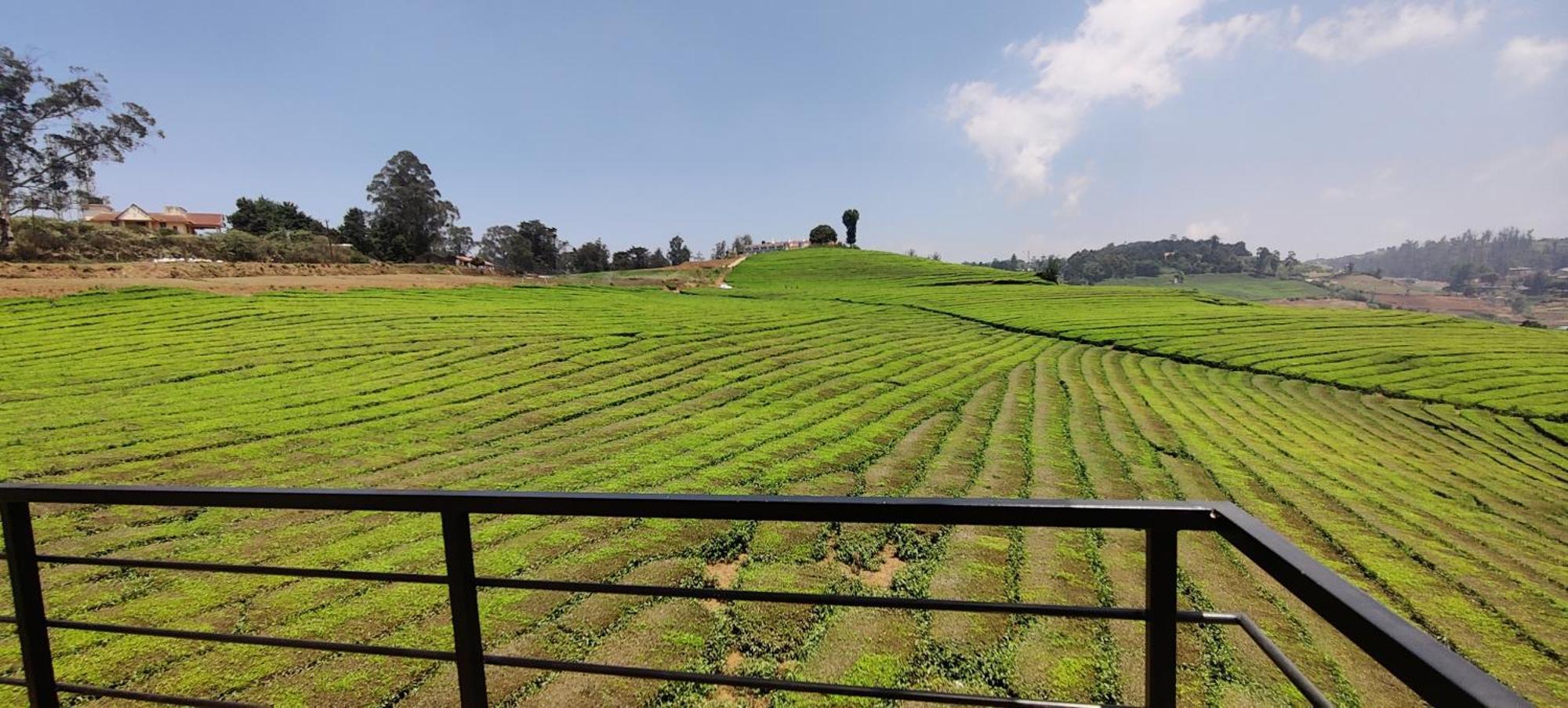 우티 Rose Garden Enclave For Families & Executives B&B 외부 사진